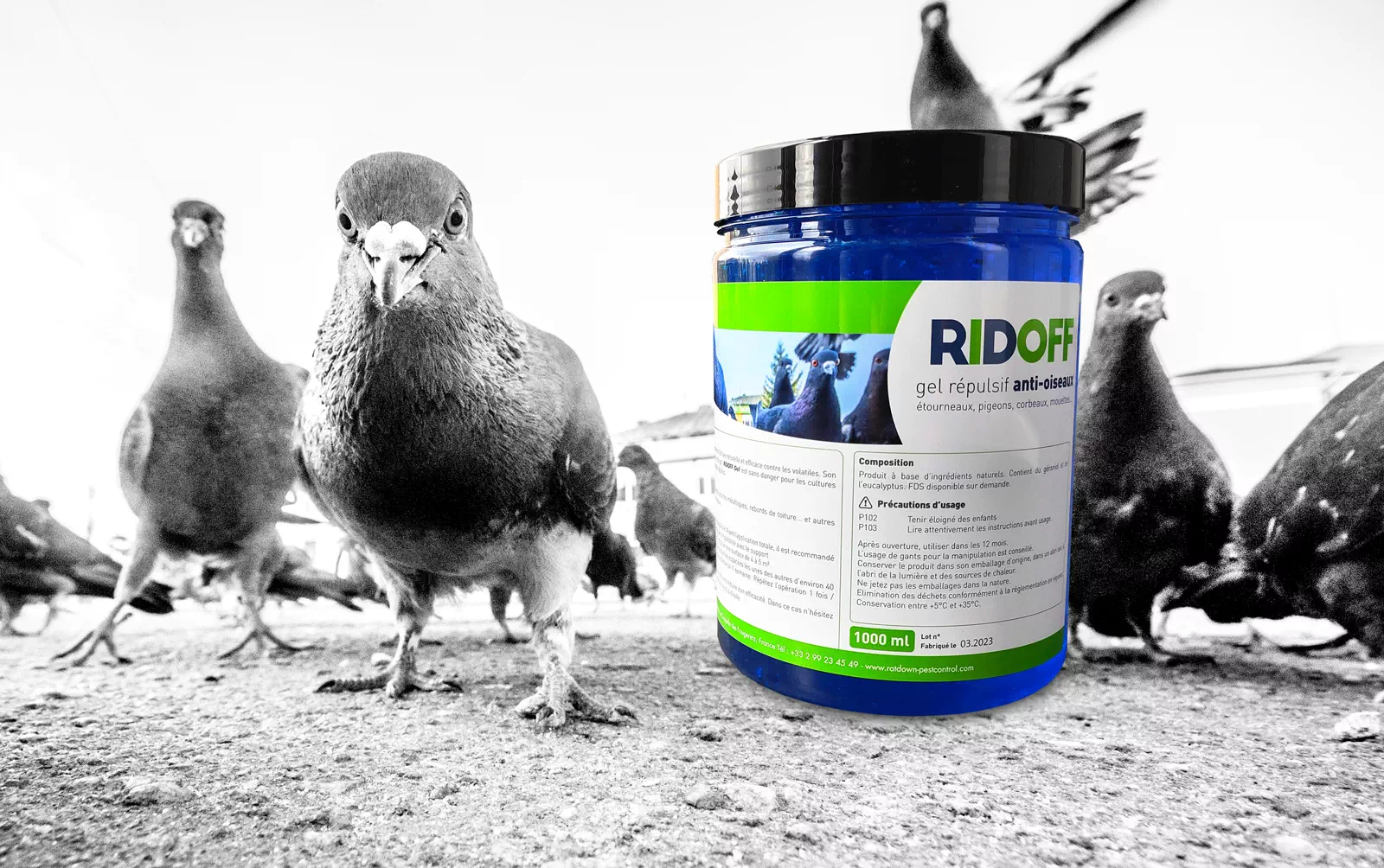 https://www.ratdown-pestcontrol.com/wp-content/uploads/2023/04/Ratdown-Ridoff-gel-repulsif-oiseau-naturel-nb.webp