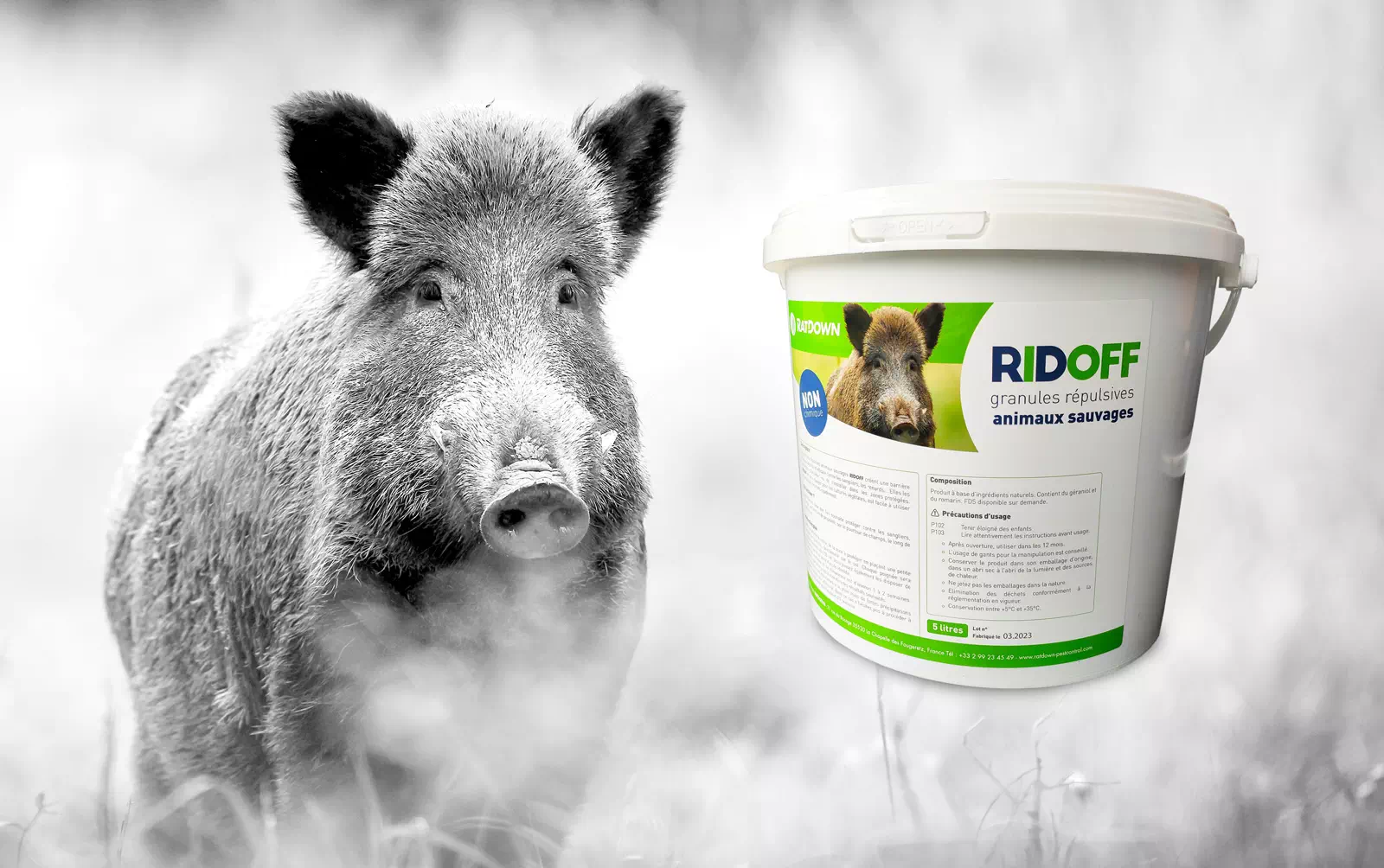 Granules anti-sangliers et animaux sauvages - Ratdown anti-nuisibles
